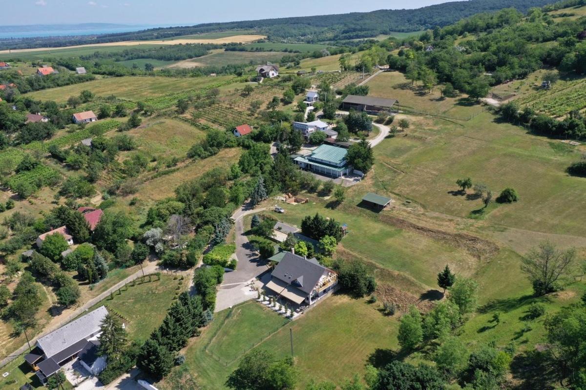 Borkúti Panzió és Apartman Balatonszárszó Esterno foto